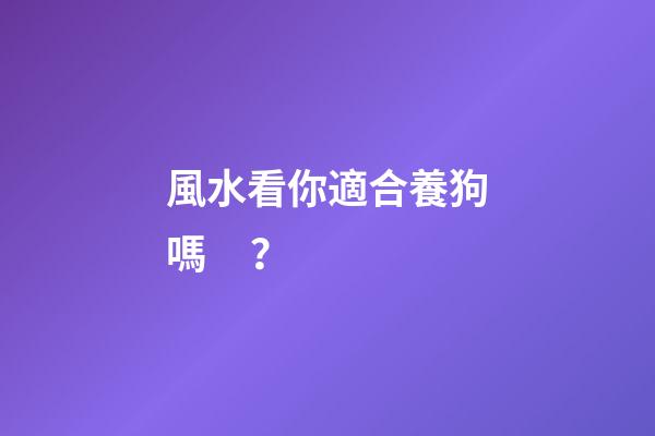 風水看你適合養狗嗎？